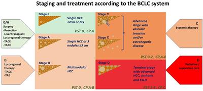 Emerging theragnostic radionuclide applications for hepatocellular carcinoma